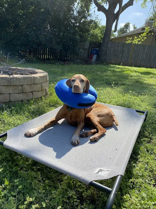 Pet Specialists of Austin Picture 9