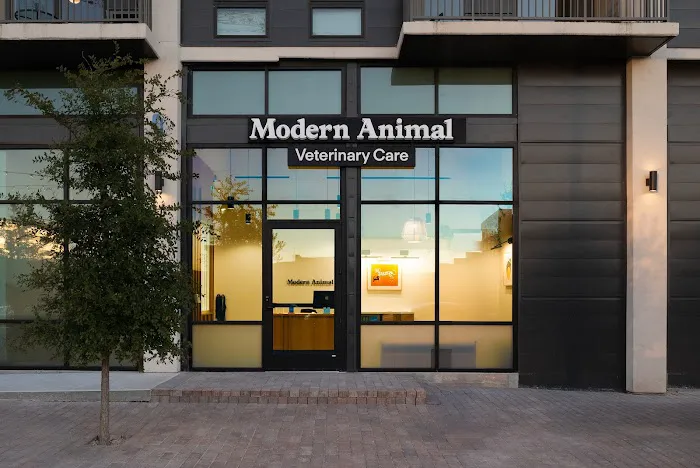 Modern Animal Picture 2