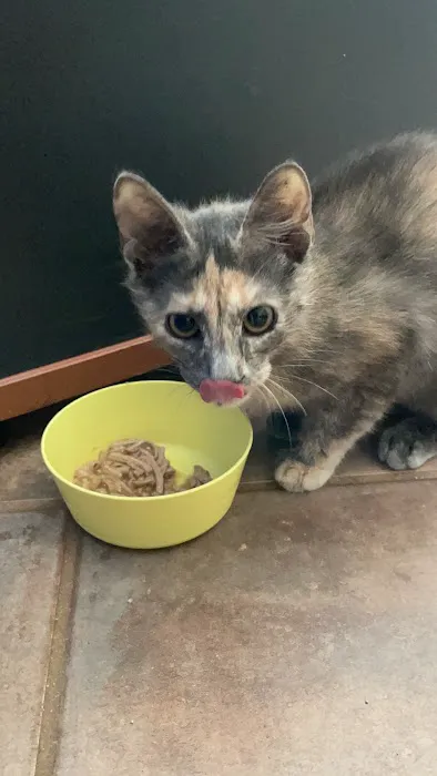 Vetco Total Care Animal Hospital Picture 8