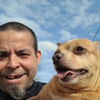 Banfield Pet Hospital ico