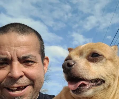 Banfield Pet Hospital