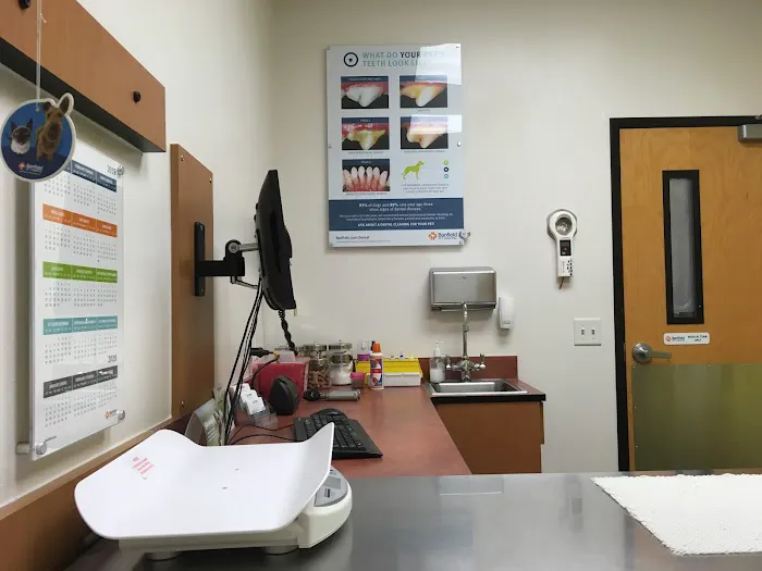 Banfield Pet Hospital Picture 9