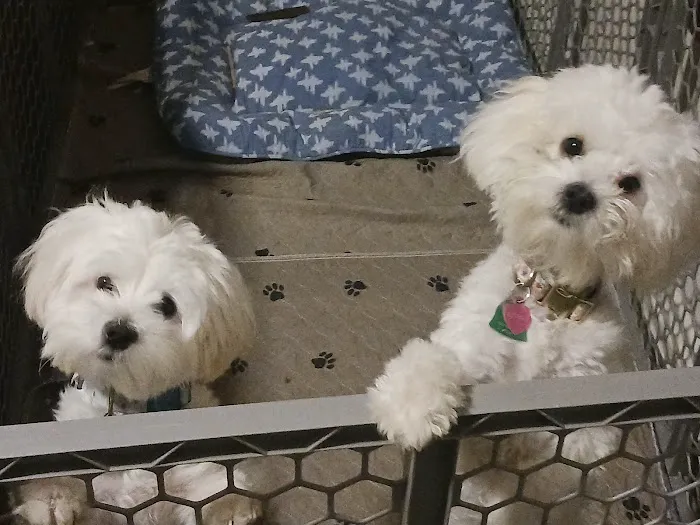 Banfield Pet Hospital Picture 7