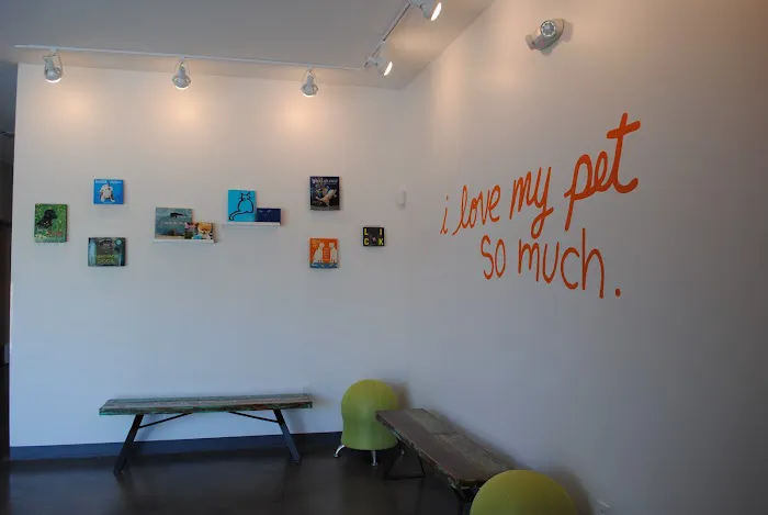 Thrive Pet Healthcare - South Lamar Picture 4