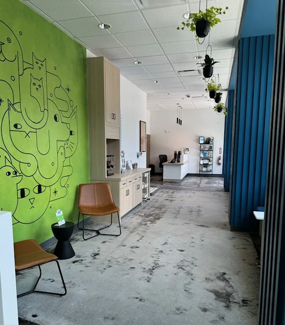 Thrive Pet Healthcare - South Lamar Picture 5