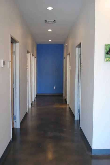 Thrive Pet Healthcare - South Lamar Picture 10