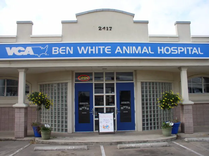 VCA Ben White Animal Hospital Picture 6