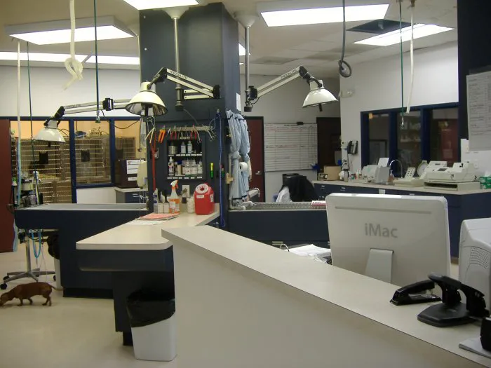 VCA Ben White Animal Hospital Picture 10