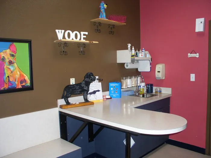 VCA Ben White Animal Hospital Picture 9