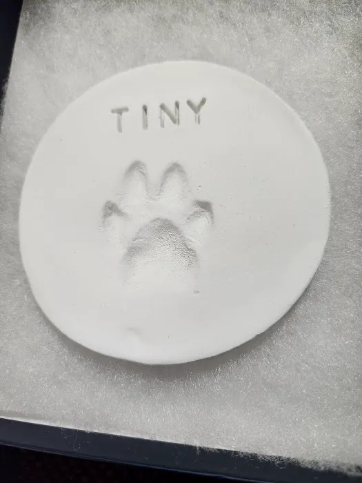 Emergency Animal Hospital: Saucedo Nicole DVM Picture 1
