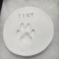 Emergency Animal Hospital: Saucedo Nicole DVM ico
