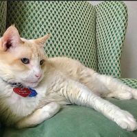 South Branch Pet & Bird Clinic: Patel Kishor DVM ico