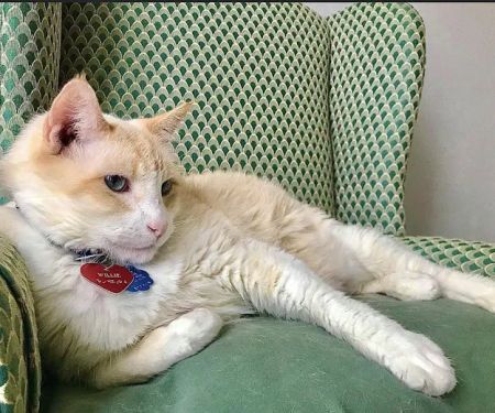 South Branch Pet & Bird Clinic: Patel Kishor DVM