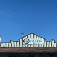 Pet and Bird Clinic ico