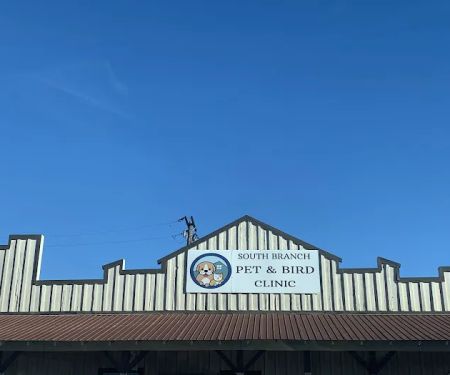 Pet and Bird Clinic