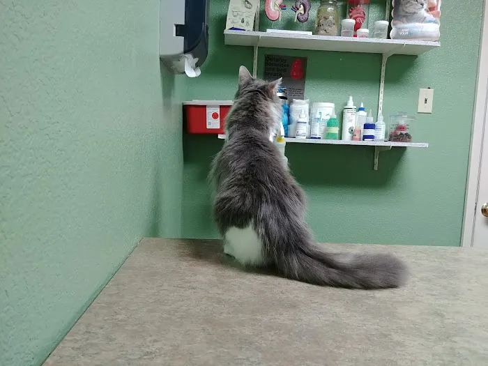 Pet and Bird Clinic Picture 5