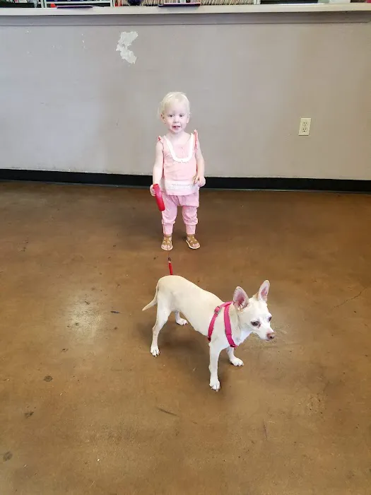 Pet and Bird Clinic Picture 4