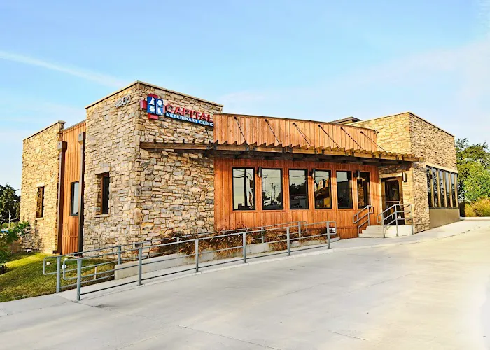 Capital Veterinary Clinic Picture 2