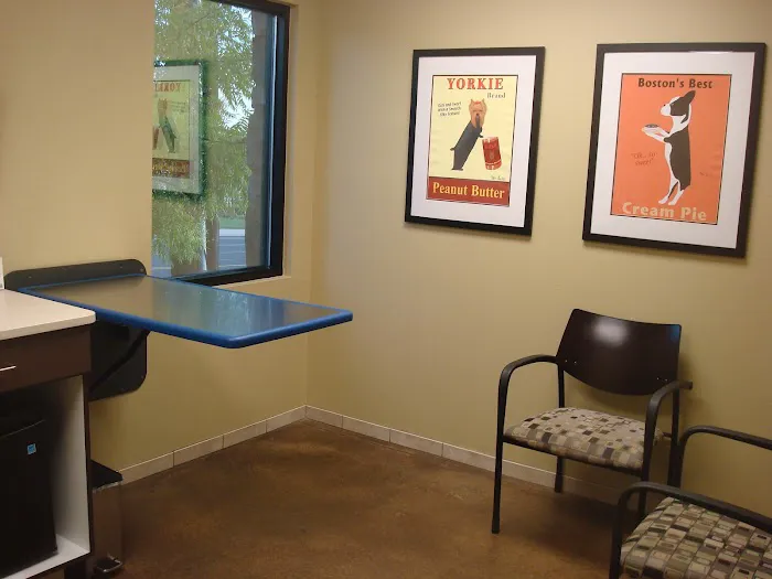 Capital Veterinary Clinic Picture 6