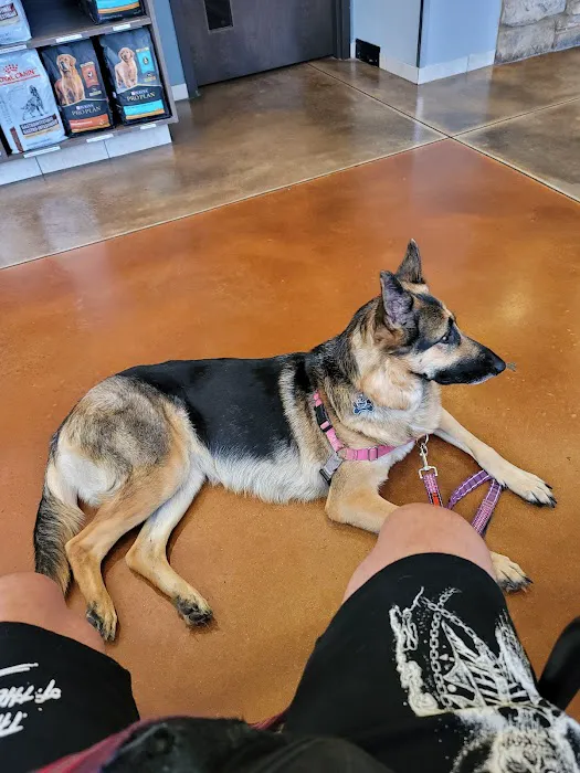 Capital Veterinary Clinic Picture 7