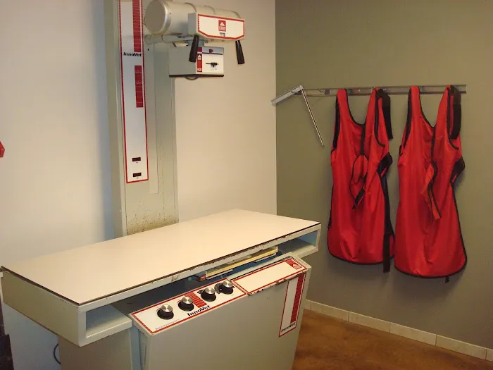 Capital Veterinary Clinic Picture 10