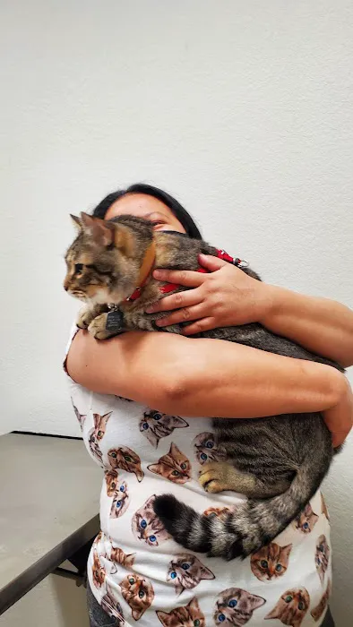 Penny Paws Animal Hospital - Grand Prairie Picture 7