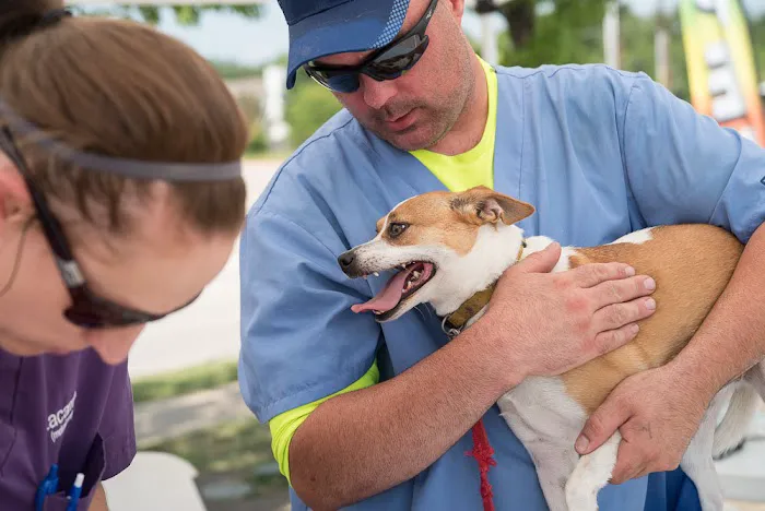 Penny Paws Low Cost Pet Vaccinations - Abilene Picture 5