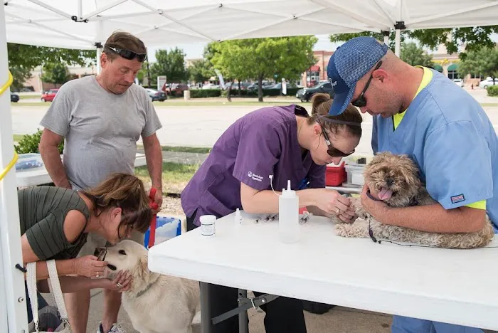 Penny Paws Low Cost Pet Vaccinations - Abilene Picture 3
