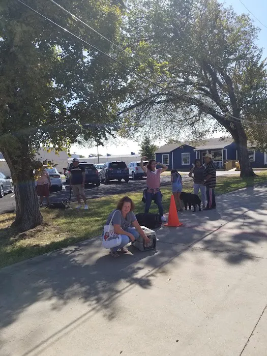 Penny Paws Low Cost Pet Vaccinations - Abilene Picture 9