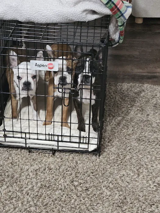 Banfield Pet Hospital Picture 8