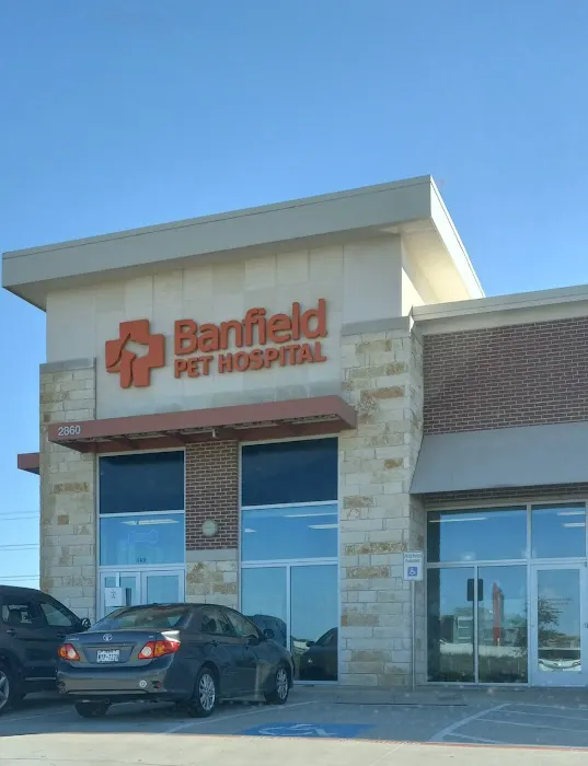 Banfield Pet Hospital Picture 2