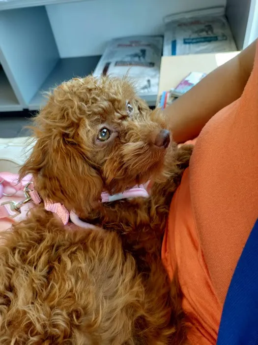Banfield Pet Hospital Picture 5