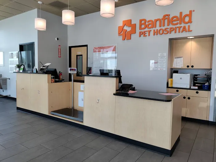 Banfield Pet Hospital Picture 4