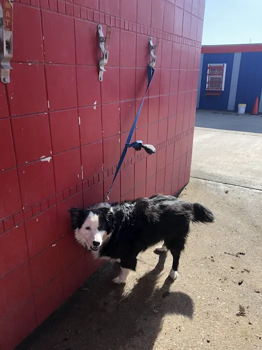 Vetco Total Care Animal Hospital Picture 6