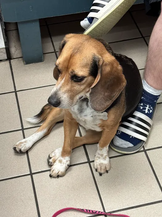 Creature Comfort Animal Clinic Picture 3