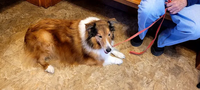 Jason-Little Rd Animal Clinic: Bader Nancy C DVM Picture 1