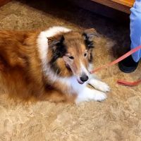 Jason-Little Rd Animal Clinic: Bader Nancy C DVM ico