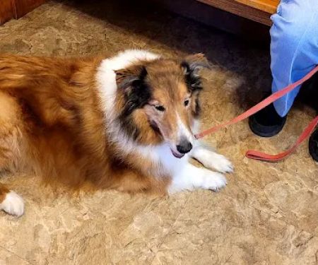 Jason-Little Rd Animal Clinic: Bader Nancy C DVM