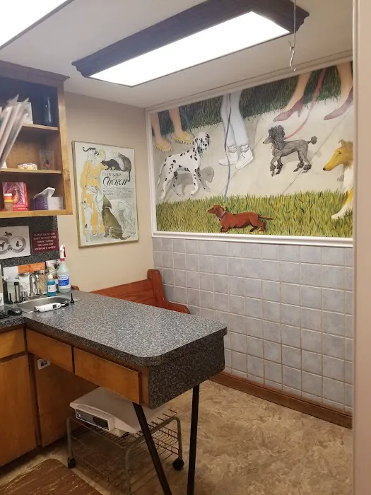 Jason-Little Road Animal Clinic Picture 1
