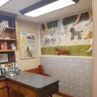Jason-Little Road Animal Clinic ico