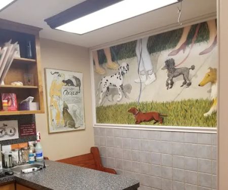 Jason-Little Road Animal Clinic