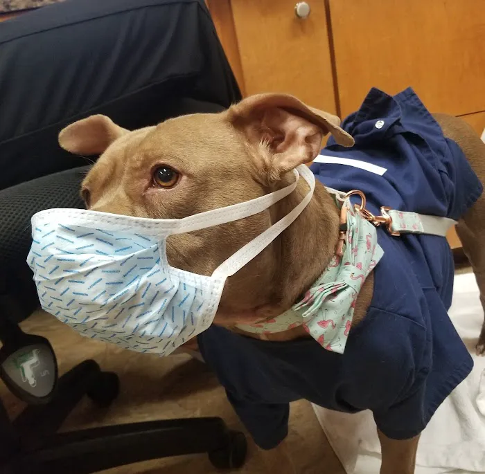 Jason-Little Road Animal Clinic Picture 4
