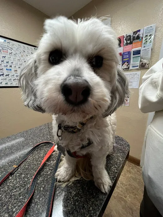 Jason-Little Road Animal Clinic Picture 2