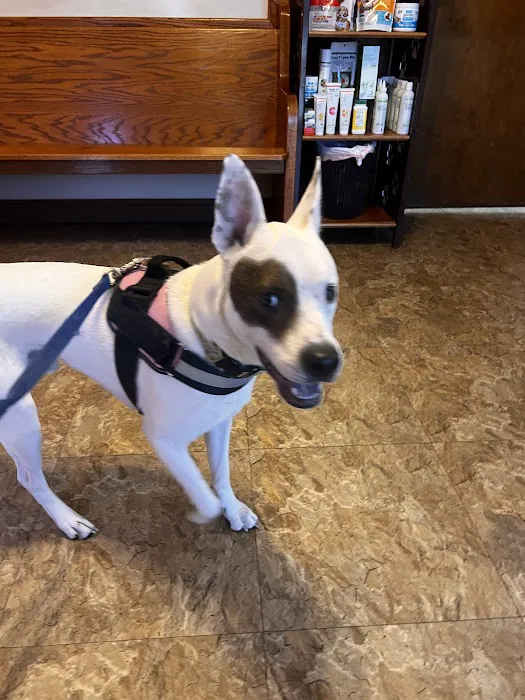 Jason-Little Road Animal Clinic Picture 7