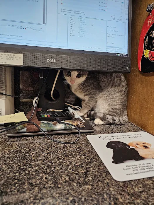 Jason-Little Road Animal Clinic Picture 10