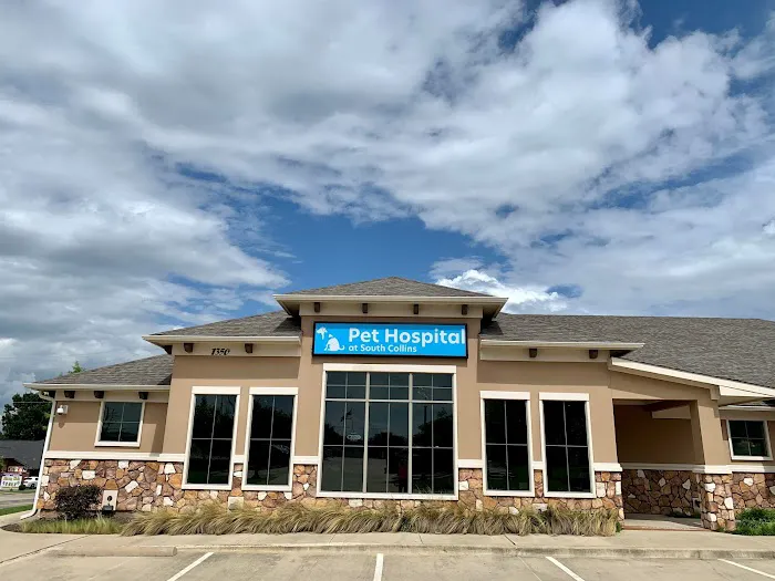 Pet Hospital at South Collins Picture 1