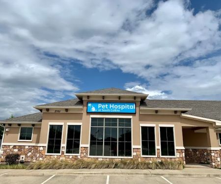 Pet Hospital at South Collins