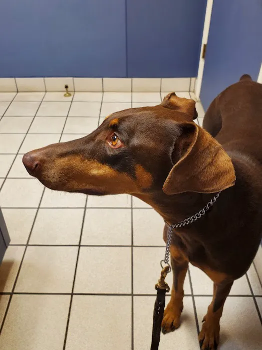Creekside Animal Hospital Picture 4