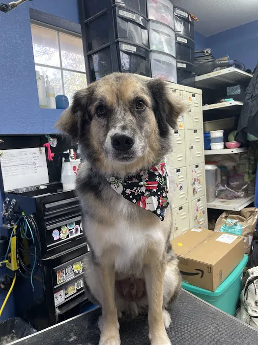 Creekside Animal Hospital Picture 9