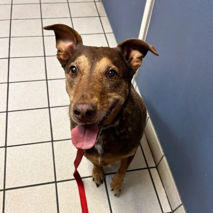 Creekside Animal Hospital Picture 8